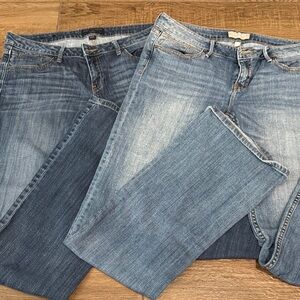 10 L ( long)  Banana Republic Women's Boot Cut Jeans - Dark and Light Blue